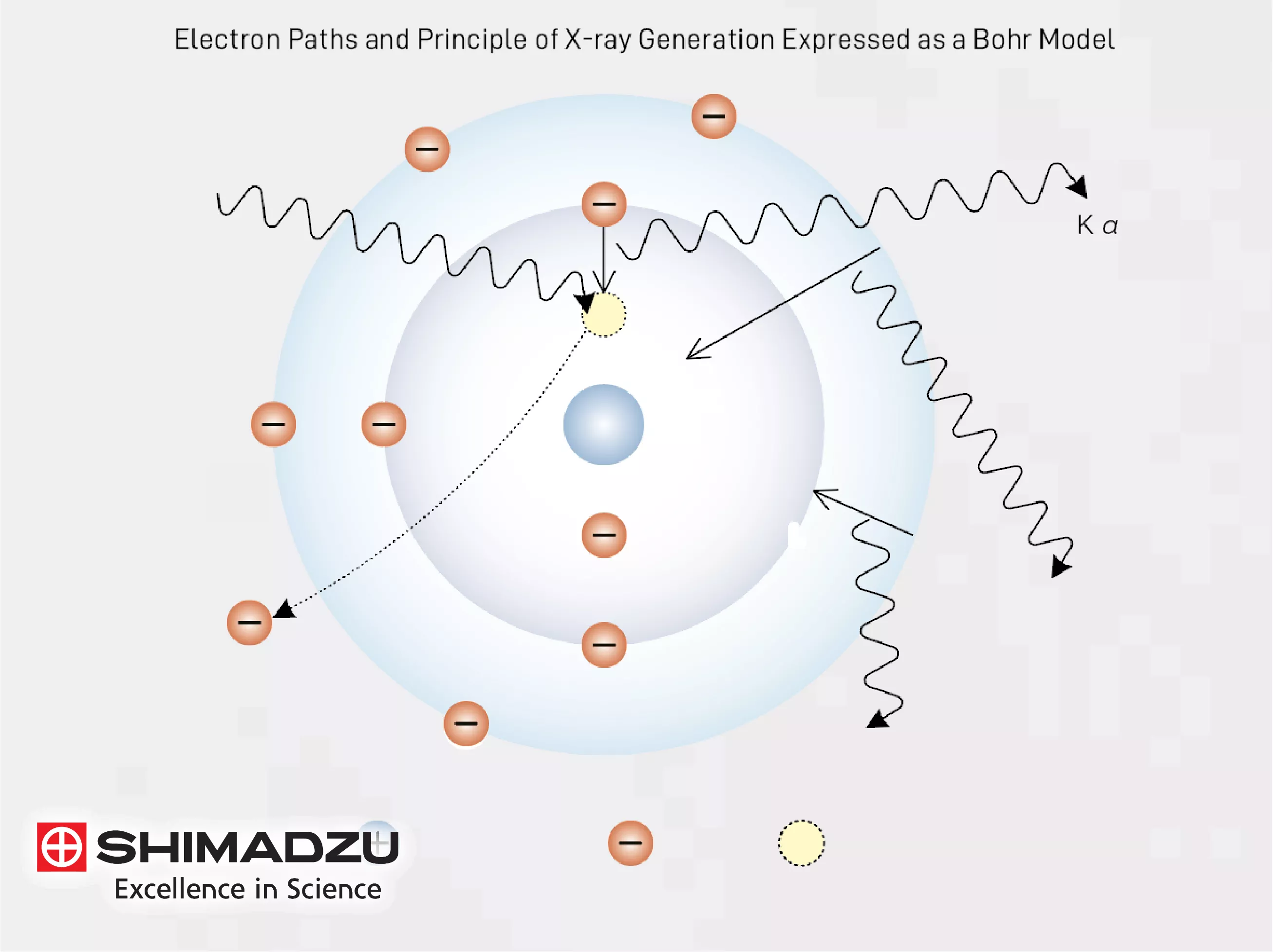 Shimadzu Elemental Analysis EDX-7200